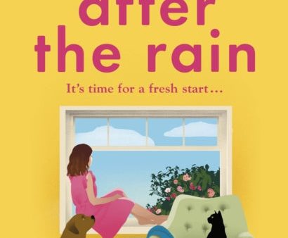 After the Rain by Lucy Dillon For Cheap