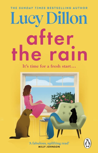 After the Rain by Lucy Dillon For Cheap