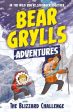 A Bear Grylls Adventure 1: The Blizzard Challenge  by Bear Grylls Online now