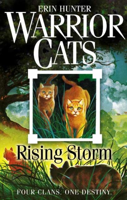 Warrior Cats by Erin Hunter: Series: Rising Storm Online