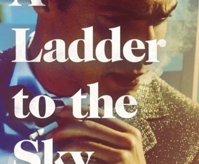 A Ladder to the Sky by John Boyne For Sale