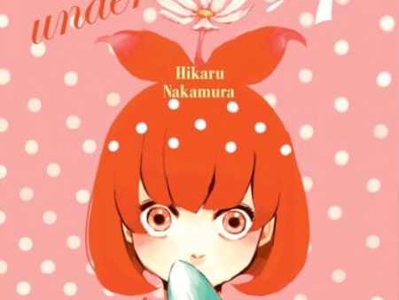 Arakawa Under The Bridge, 4 by Hikaru Nakamura Cheap