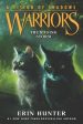 Warrior Cats by Erin Hunter: Series: A Vision of Shadows #6: The Raging Storm Cheap