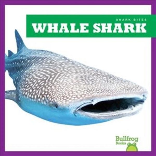 Whale Shark For Sale