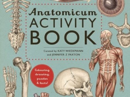 Anatomicum Activity Book by Jennifer Z Paxton For Cheap