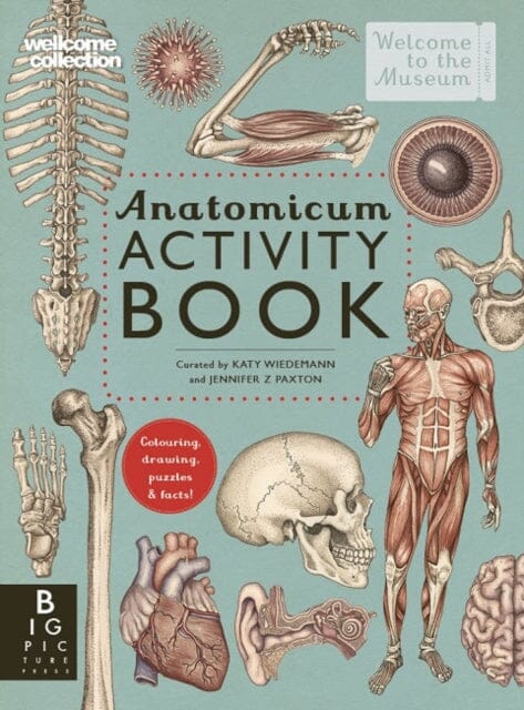 Anatomicum Activity Book by Jennifer Z Paxton For Cheap