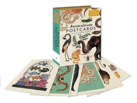 Animalium Postcards by Katie Scott Supply