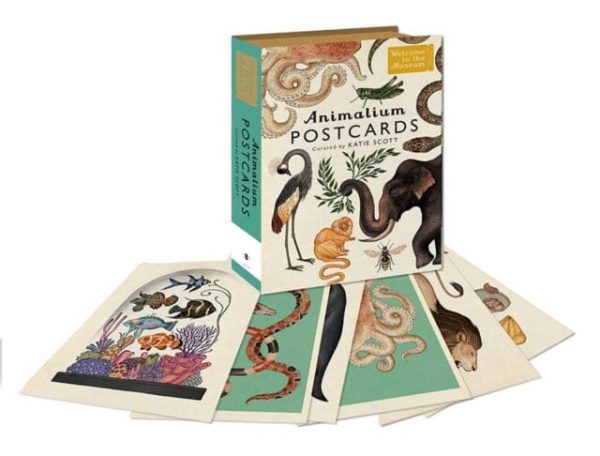 Animalium Postcards by Katie Scott Supply