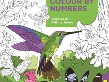 Beautiful Colour by Numbers Discount