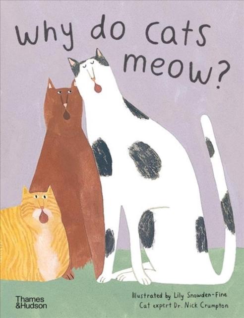 Why do cats meow? : Curious Questions about Your Favourite Pet Cheap