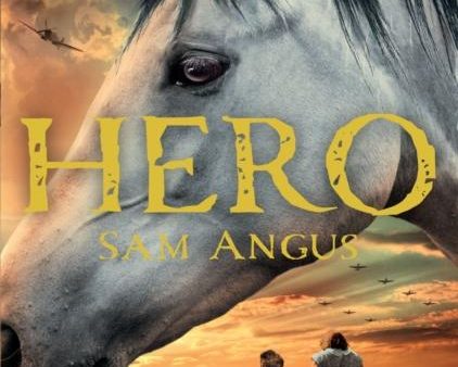 A Horse Called Hero For Sale