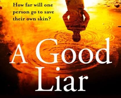 A Good Liar by Amanda Brooke Online