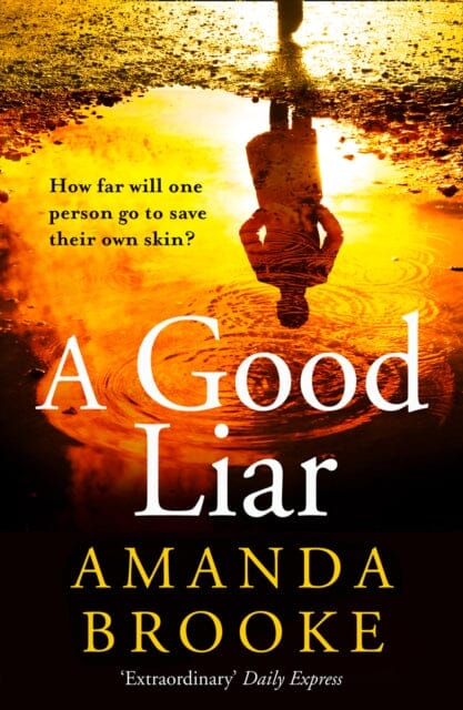 A Good Liar by Amanda Brooke Online