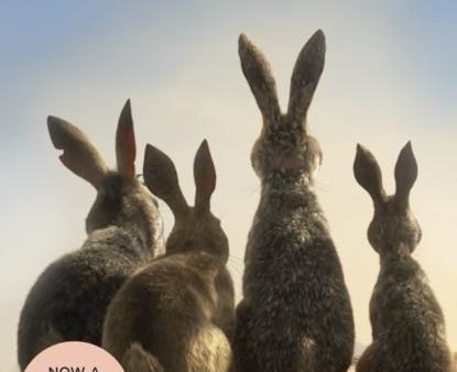 Watership Down For Discount